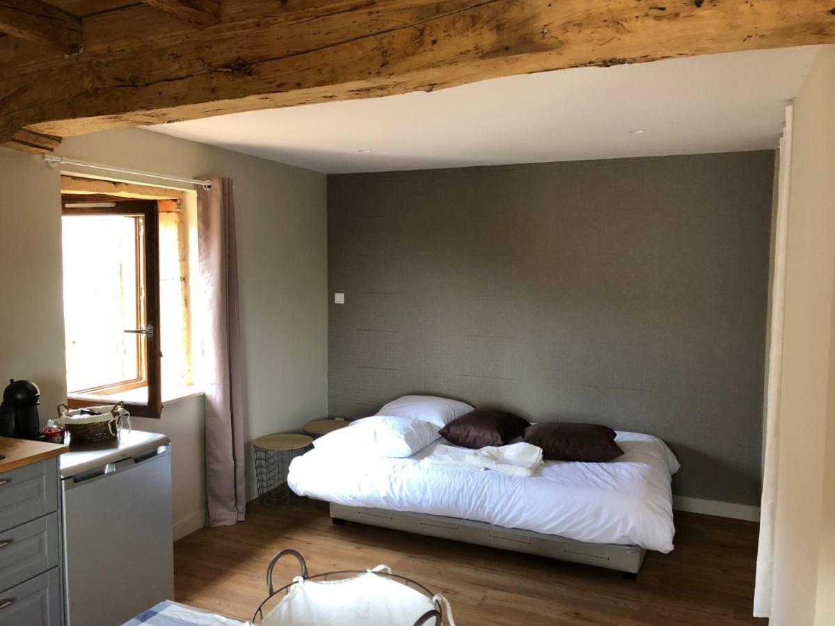 Appartement Domaine des Dutreve à Saint-Etienne-des-Oullieres Extérieur photo